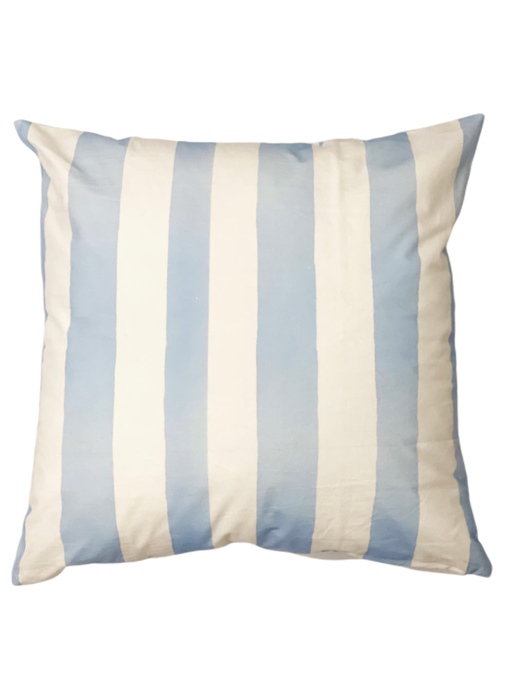 Throw Pillow 24 X 24-Skylar